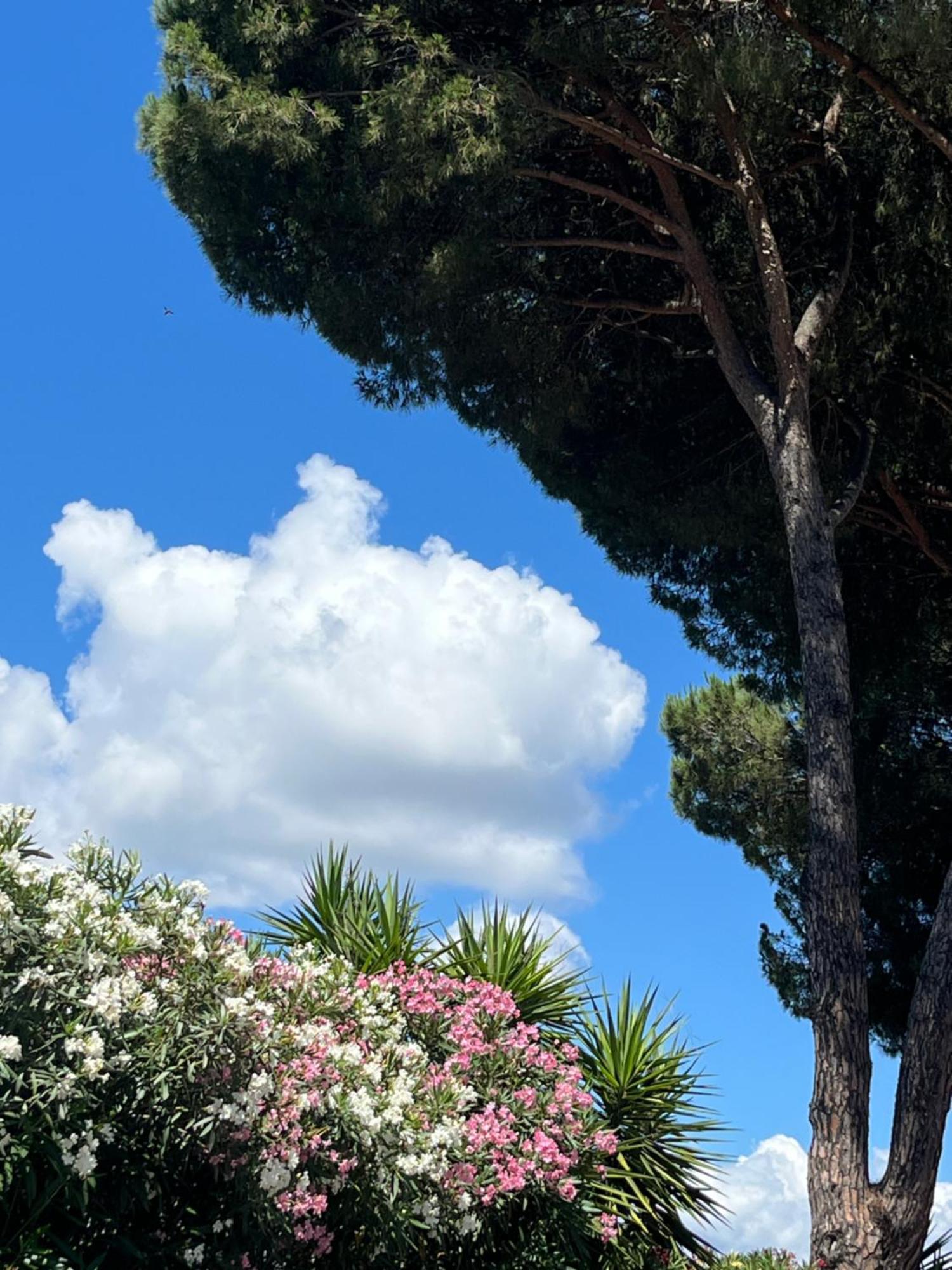 Torre Antica Suite Campagnano Di Roma Exterior foto